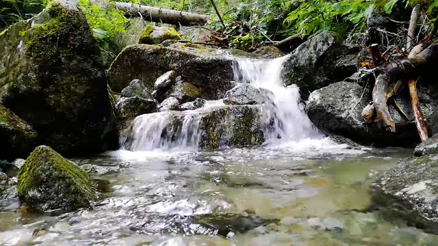 natureza é só para quem gosta