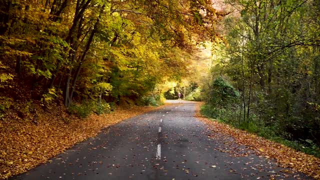 ROAD NATURE VIDEO CLIP