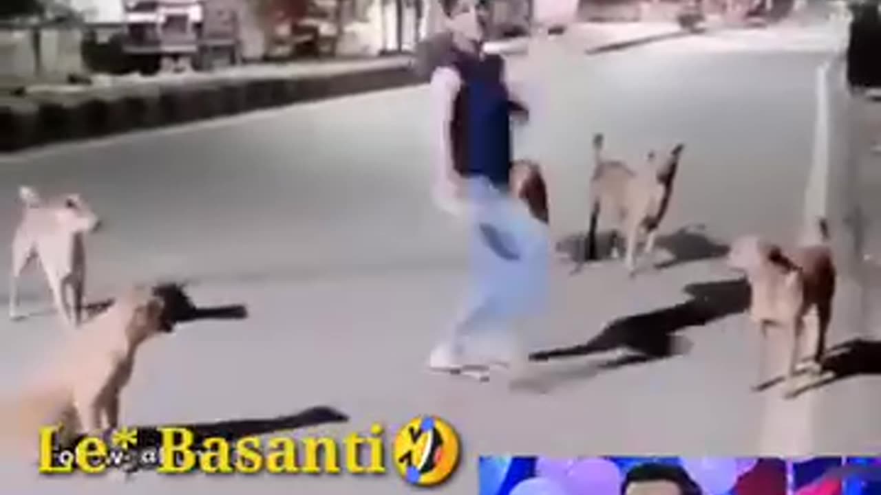 Funny Clips