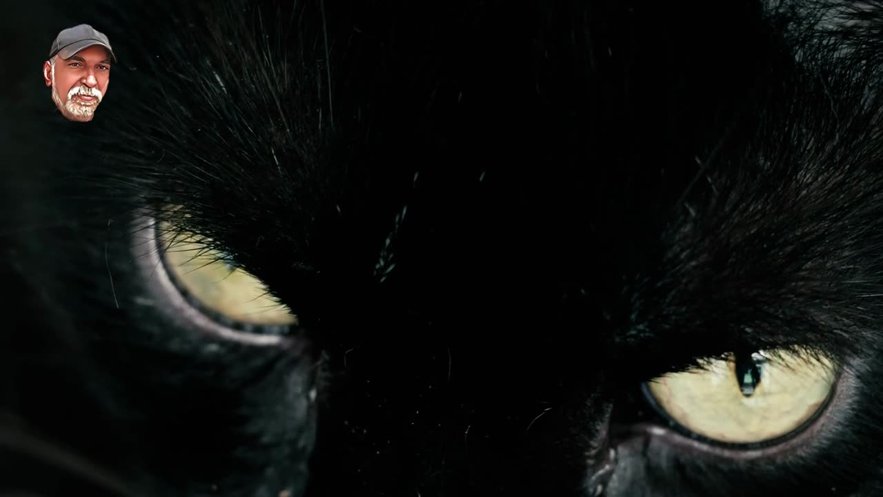 عيون القط/cat eyes