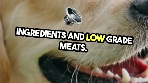 The Pet Food Industry has been lying to you for decades.