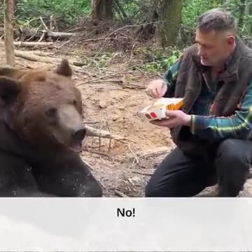 “ Bears, which casually dig in a trash… refuse poisonous McDonalds”