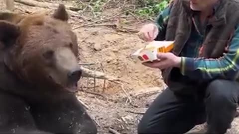 “ Bears, which casually dig in a trash… refuse poisonous McDonalds”