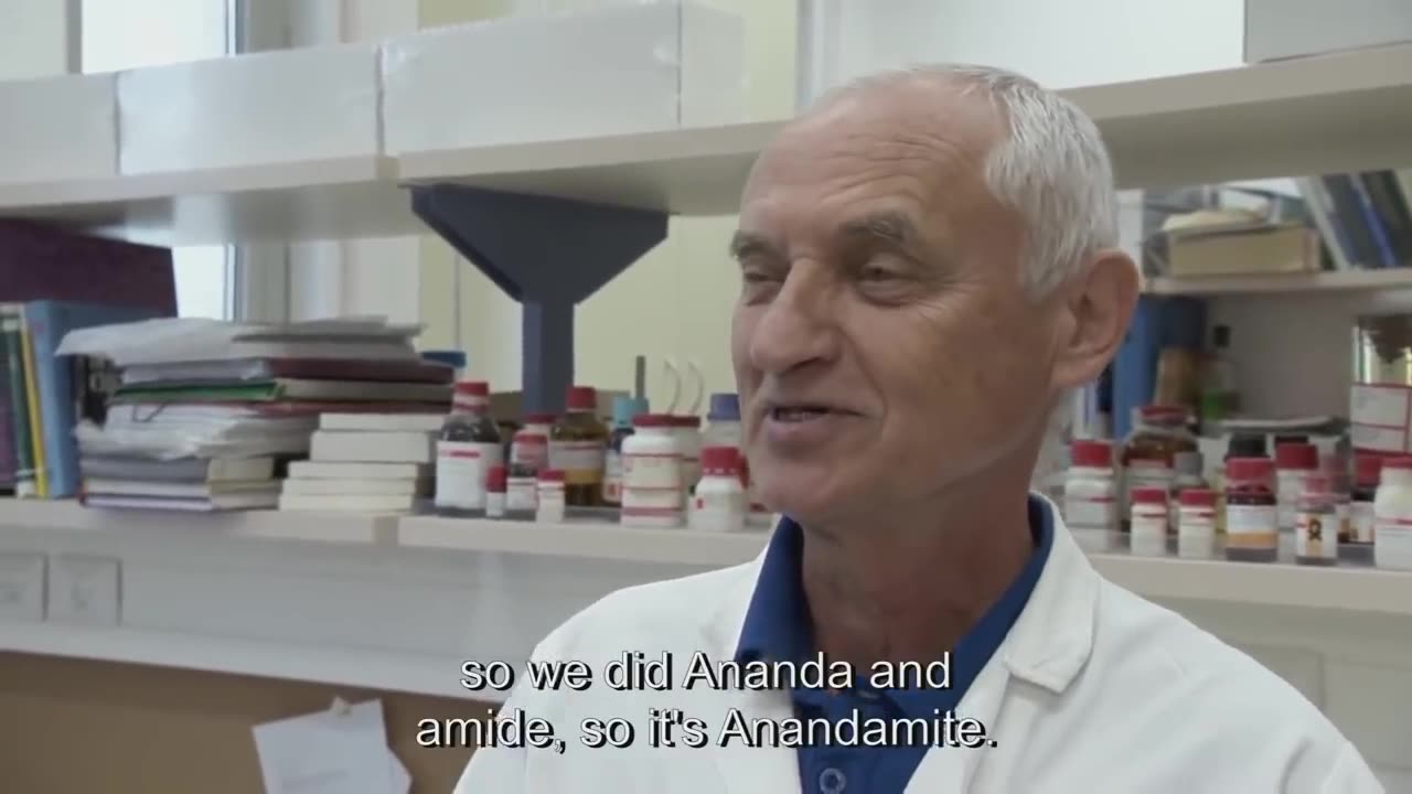 The Scientist