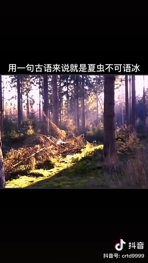 “夏蟲不可語冰_認知差異”～