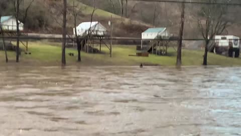 NW NC at The Treehouse 1/9/24 4:30pm 56°F North Toe River We received 3 inches of rain in 18 hours