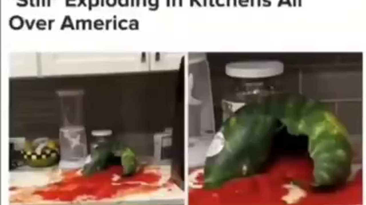 WTF Is Up With Watermelons?