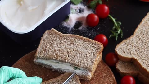1 Way How To Make a Bread Sandwich