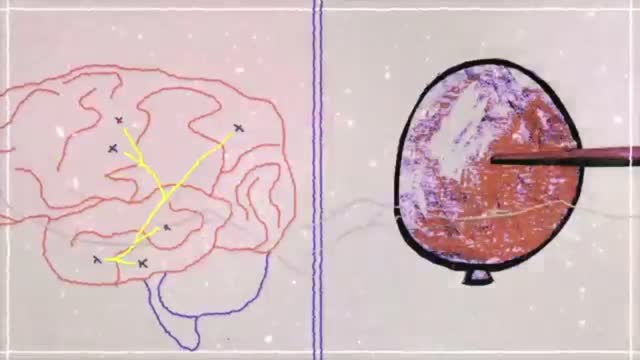 every object that you've seen is encoded by a neuronal ensemble associated with it