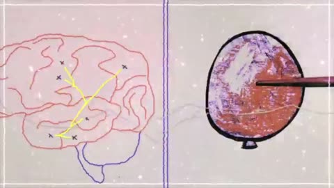 every object that you've seen is encoded by a neuronal ensemble associated with it