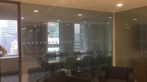 Switchable Privacy Glass technology