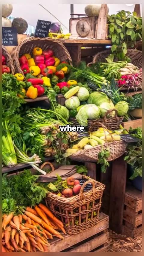 How Processed Foods and Toxic Seed Oils Are Damaging Your Health: The Truth About Detoxing for Optim