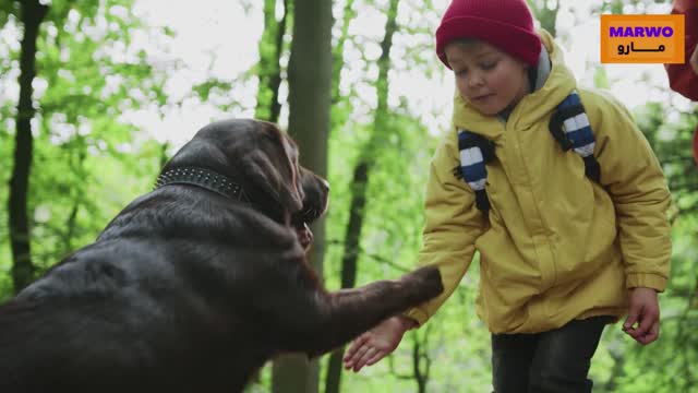 Little girl playing with the dog and eating it