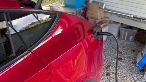 Model Y Damage Again