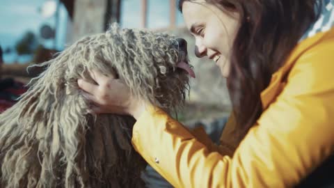 A happy young woman in yellow jacket is petting a big white dog smiling feeling happy having