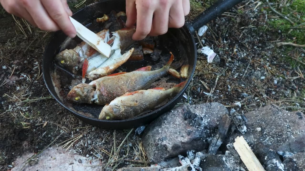 Catching Fish in Rain: CAMPING Solo on a Nordic Island