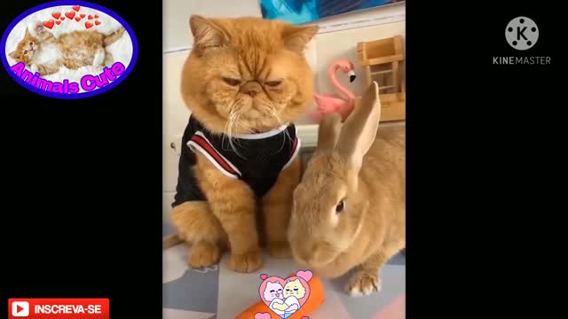 Friends cute and funny