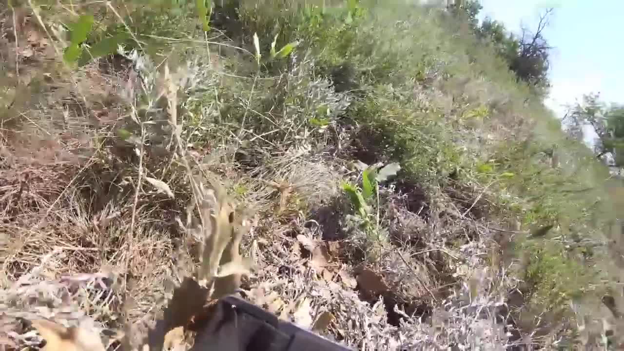 All the tricks are performed by professionals