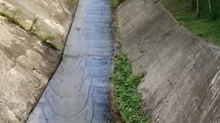 Sliding down Drain with Surprise Speed