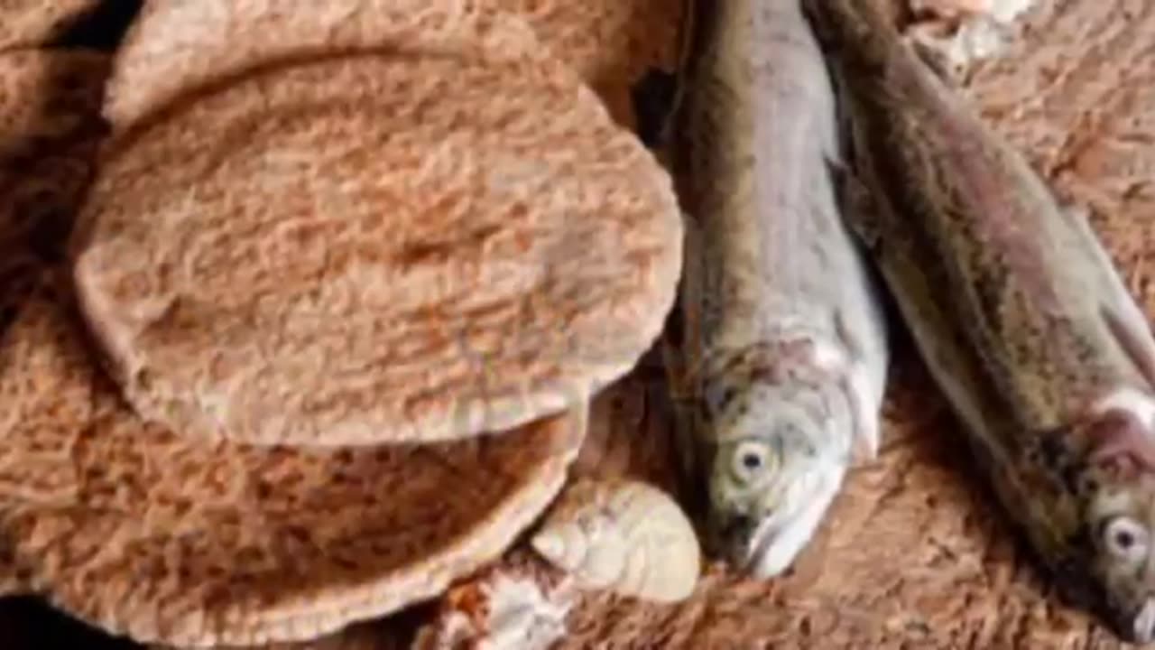 Min153P038 5 responsibility