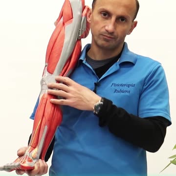 E se il Dolore al Ginocchio Fosse Causato dal Retinacolo?