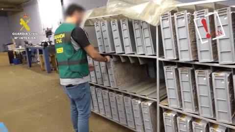 Intervienen 6 millones de cigarrillos falsos y 33 toneladas de hoja de tabaco