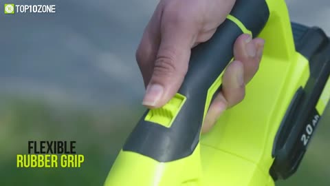 Top 10 Best Cordless Leaf Blower
