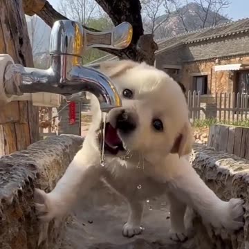 #amazingvideos #amazingvideosoftheworld #stressrelief #relaxing #nature #video #adventure #vídeo7