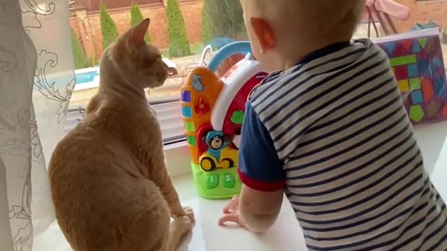 So many brave and beautiful children and wonderful cats, #cutebaby #cutecat #shorts #short