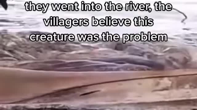 How spiritual do you think this is?