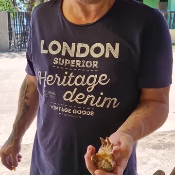 Fresh cooked Saang (Spider Conch) at Tubajon, Laguindingan, Misamis Oriental. A seaside treat!