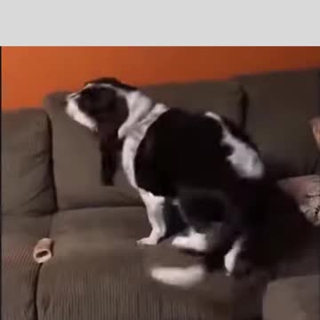 learned from the owner