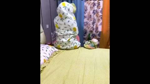 Funniest Animals - Best Of The 2021 Funny Animal Videos