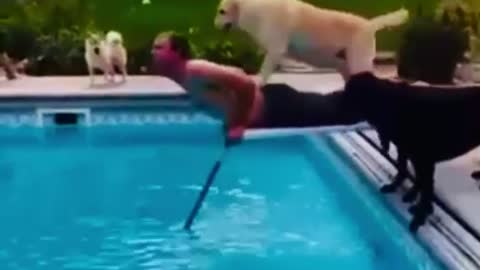 Spécial animal funny🤣🤣🤣❤️