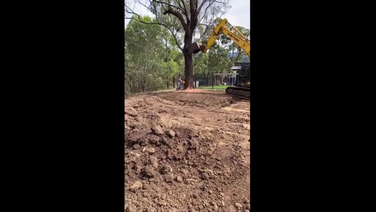 No chainsaw today - instead - A TRUCK!
