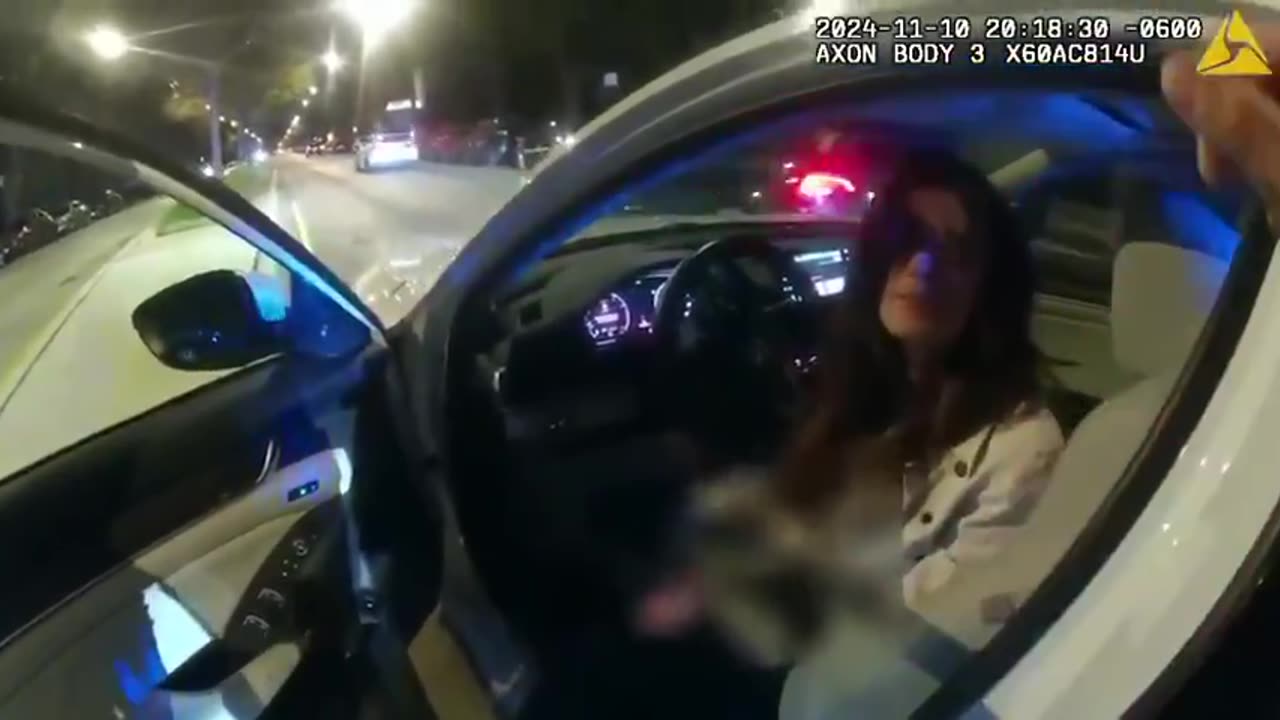 Illinois Democrat Samantha Steele, 45, telling Chicago police, "I'm an elected official,"