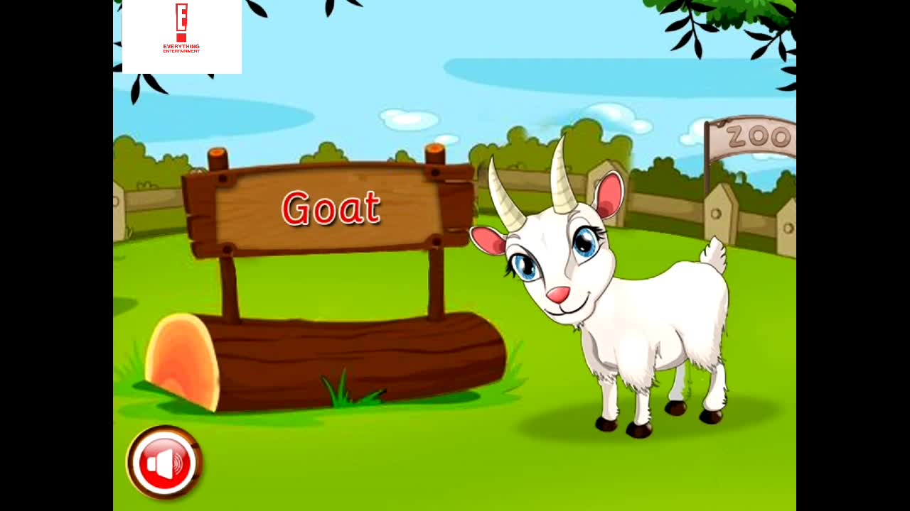 Animal Names and Pictures for Kids