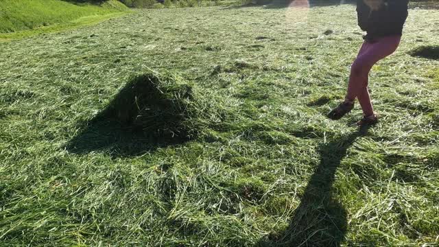 A Kid And Her Dog Playing In A Newly Mowed Grass Field 2#