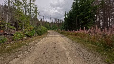 Whip FSR to top of clearing (Okanagan, B.C. September 2024 footage)