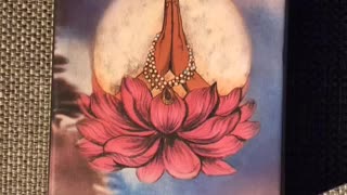 September 13th oracle card: release and renew