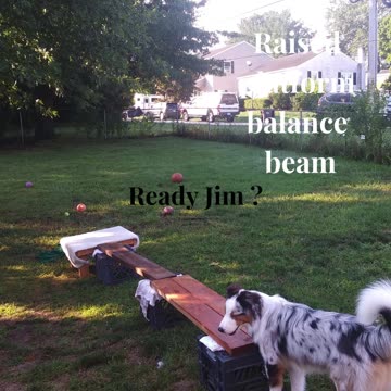 Ruff Cut PodCast: Raised Platform and Balance Beam part 4 cut 2