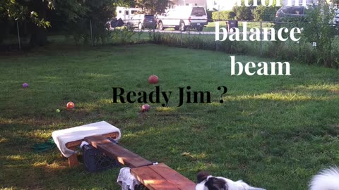 Ruff Cut PodCast: Raised Platform and Balance Beam part 4 cut 2
