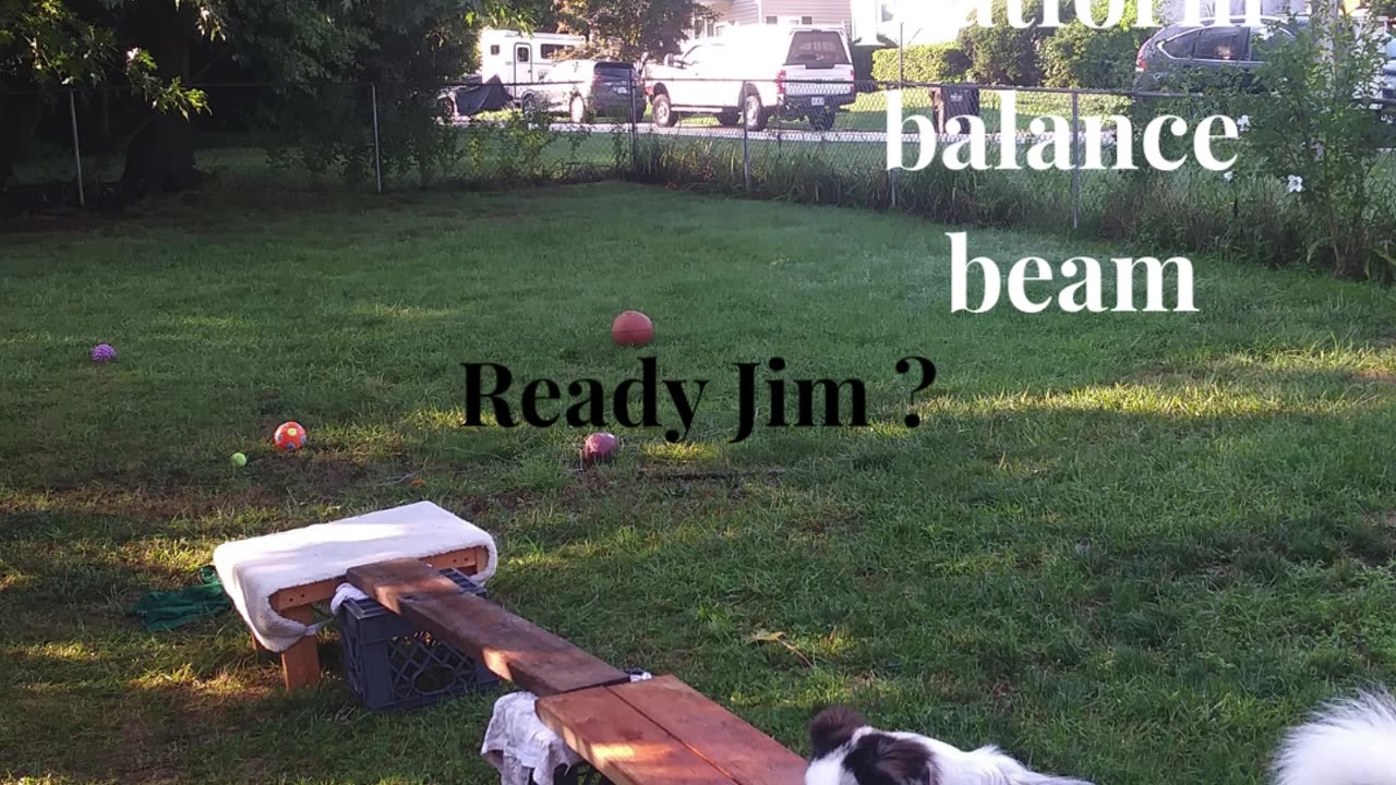 Ruff Cut PodCast: Raised Platform and Balance Beam part 4 cut 2