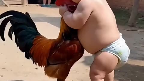 Funny Baby Fight #fun #funny #baby #rooster #fighting #fight #reaction #angry #ns_uttam_kumar_biswas