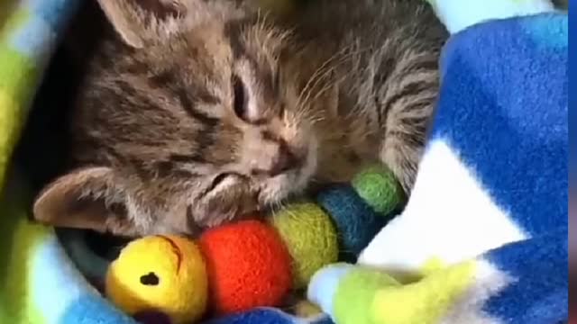 Спокойной ночи.
