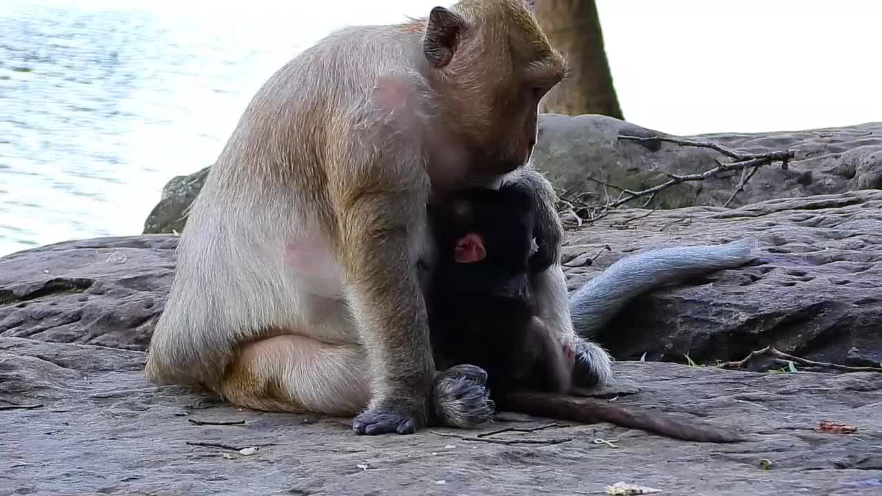 Brinn Runs Fast To Grab Branda from Tara