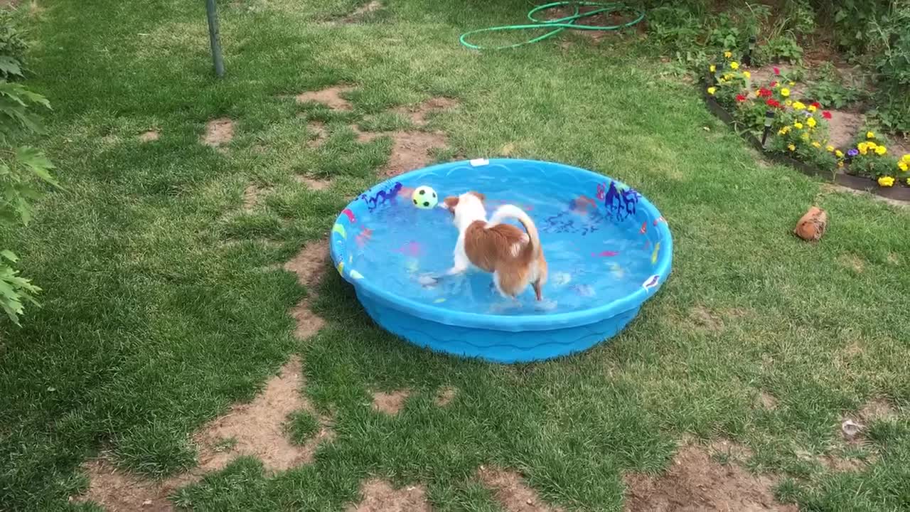 Reba playing with ball in her pool