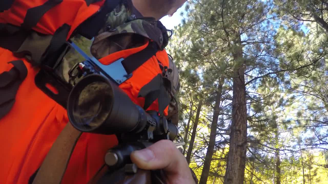 A deer hunter walking through the green woods