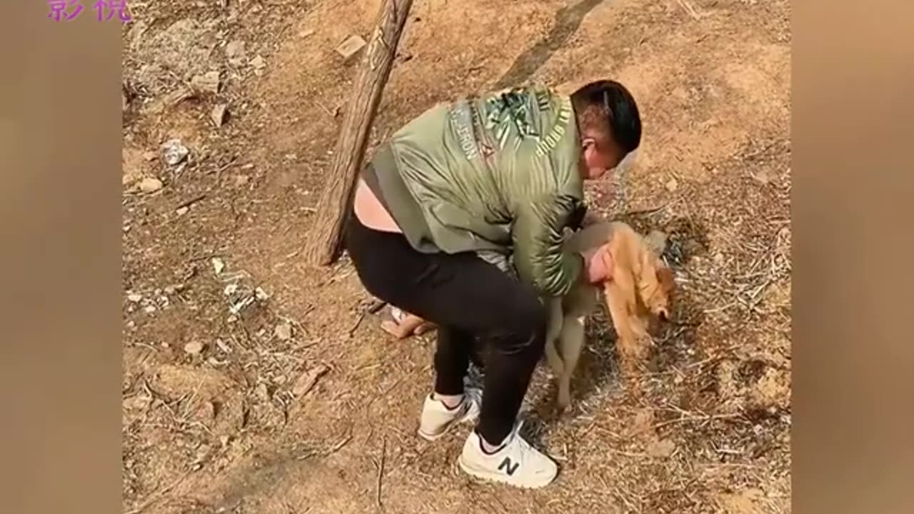 動物嚇一跳的真實反應，直接原地起飛