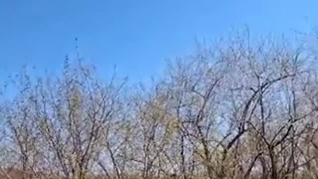 #Ukraine_ The Ukrainian Air Force is still active on the Eastern front - this Su-25 jet with interes